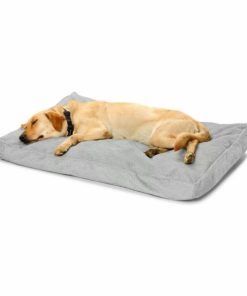 Pacemakerco.shop5e474c3c7c 3