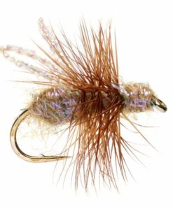 Pacemakerco.shop60f61ac0ae 1