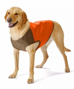 Pacemakerco.shop61371a45ed 1