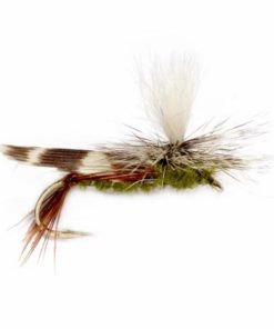 Pacemakerco.shop618eb4a490 1