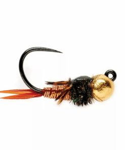 Pacemakerco.shop626945a2f8 1