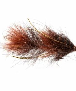 Pacemakerco.shop64680803c1 1