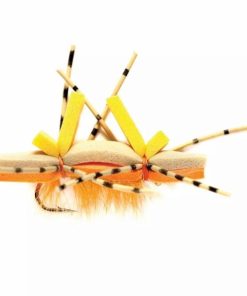 Pacemakerco.shop6530c3aedc 1