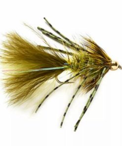 Pacemakerco.shop683c6d9c81 1