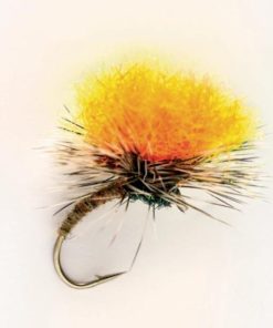 Pacemakerco.shop698412b834 1