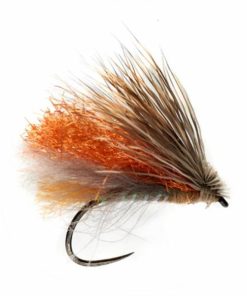 Pacemakerco.shop69ad2a9ac8 1