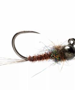 Pacemakerco.shop6cdb0c2400 1