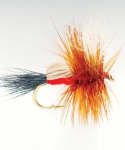 Pacemakerco.shop6e63eaefaa 1