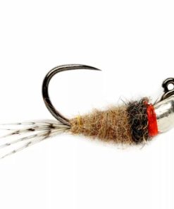 Pacemakerco.shop6e7fbc77b5 1