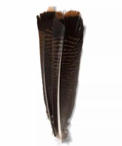 Pacemakerco.shop6f193358e0 1