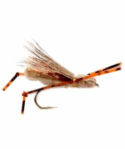 Pacemakerco.shop70cdb19de9 1