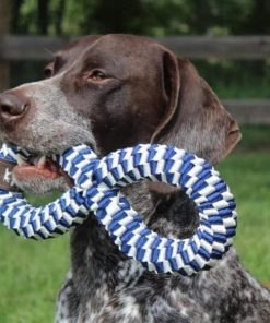 Pacemakerco.shop72472aa9b4 2