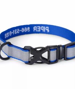 Pacemakerco.shop744e56c807 3