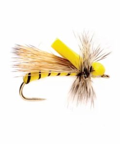 Pacemakerco.shop746f13de51 1