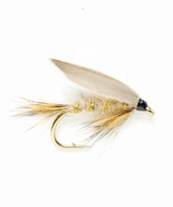 Pacemakerco.shop752196d837 1