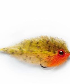 Pacemakerco.shop7537d5974f 1