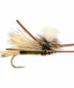 Pacemakerco.shop77a4a0f6e5 1