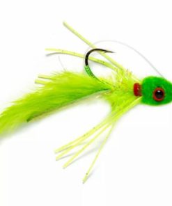 Pacemakerco.shop783e26aa7c 1