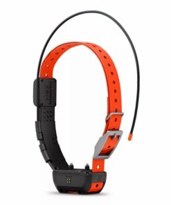 Pacemakerco.shop7846792b3e 1