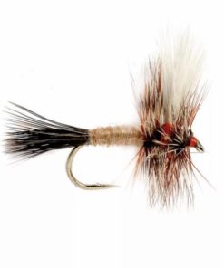 Pacemakerco.shop7a90f964d4 1