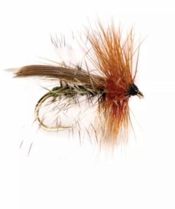 Pacemakerco.shop7b4d6cac60 1