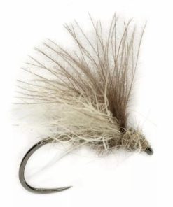 Pacemakerco.shop7b815ed60a 1