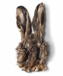 Pacemakerco.shop7bc247ec89 1