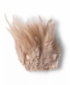 Pacemakerco.shop7d903389f5 1