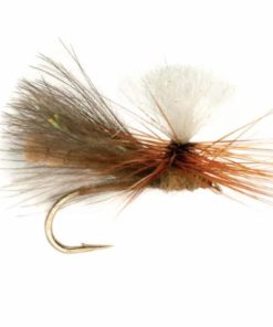 Pacemakerco.shop7e2c5e1aa7 1