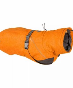 Pacemakerco.shop83307ab247 1