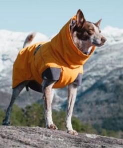 Pacemakerco.shop83307ab247 2