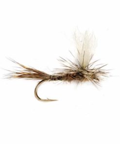 Pacemakerco.shop8363bdc7e7 1