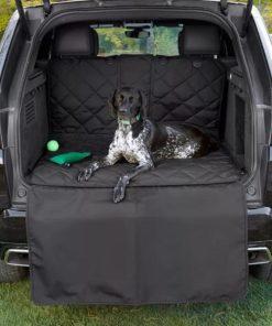 Pacemakerco.shop840004b675 1