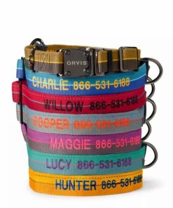 Pacemakerco.shop840389f2de 1