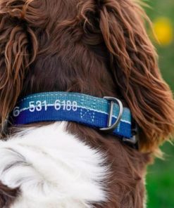 Pacemakerco.shop840389f2de 2