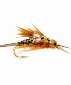 Pacemakerco.shop840efd7b5f 1