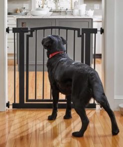 Pacemakerco.shop8461e29433 1