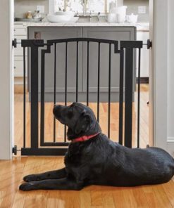 Pacemakerco.shop8461e29433 2