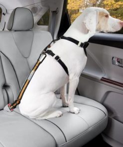 Pacemakerco.shop849bf22cc7 1