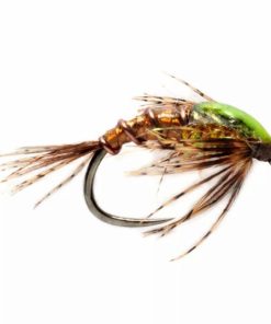 Pacemakerco.shop84d0a2d95a 1