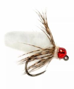 Pacemakerco.shop85035f1d12 1