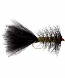 Pacemakerco.shop8524ce6852 1