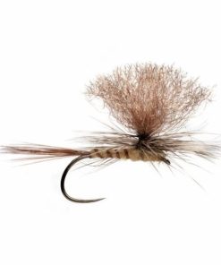 Pacemakerco.shop855829467e 1