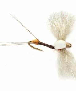 Pacemakerco.shop86c14305c8 1