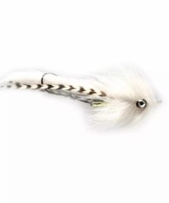 Pacemakerco.shop88eca873a1 1