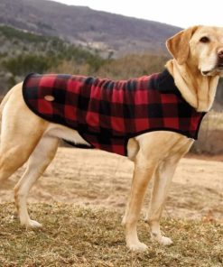 Pacemakerco.shop8ae9bc1faf 3