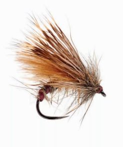 Pacemakerco.shop8d472cbf73 1