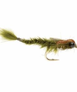 Pacemakerco.shop8dba2e5965 1