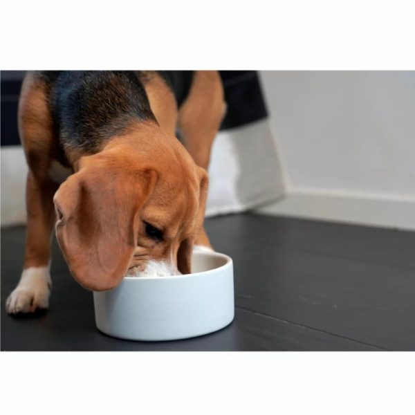 Pacemakerco.shop8dcd2f402a 2