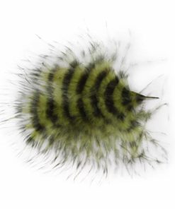 Pacemakerco.shop8e2e748d4f 1